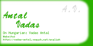 antal vadas business card